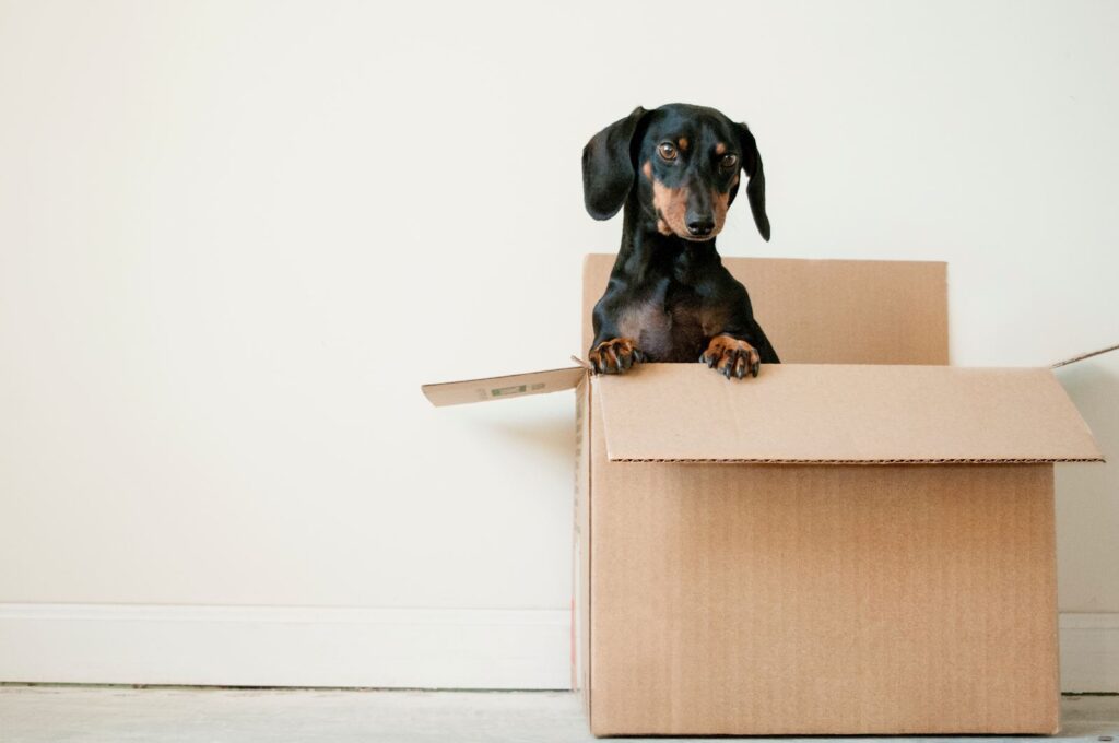 From moving insurance to long-distance movers, we're covering everything.