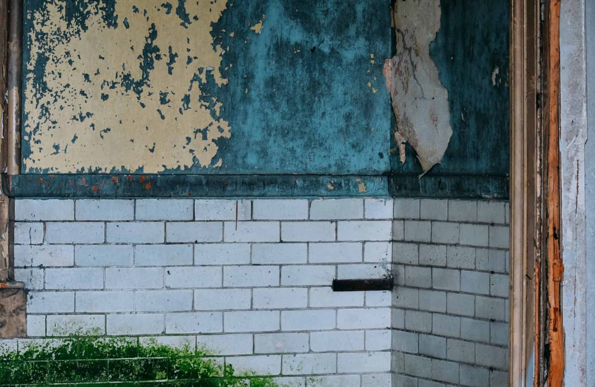 A house with mold problems because of a lack of damp proofing.